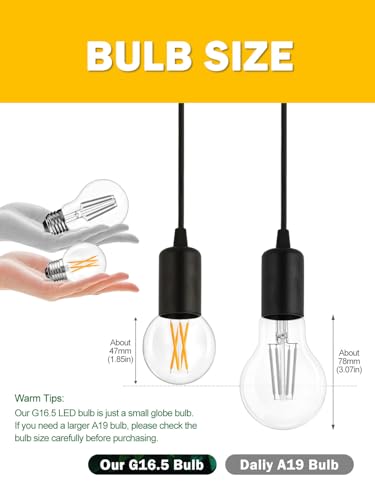 Romanjoy 120V E26 Dimmable G16.5 6W LED Light Bulb, 10 Pack (2700K Warm)