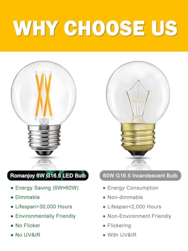 Romanjoy 120V E26 Dimmable G16.5 6W LED Light Bulb, 10 Pack (2700K Warm)