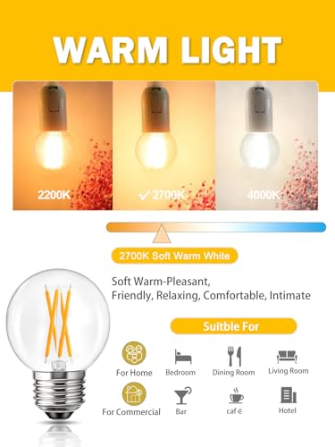 Romanjoy 120V E26 Dimmable G16.5 6W LED Light Bulb, 10 Pack (2700K Warm)