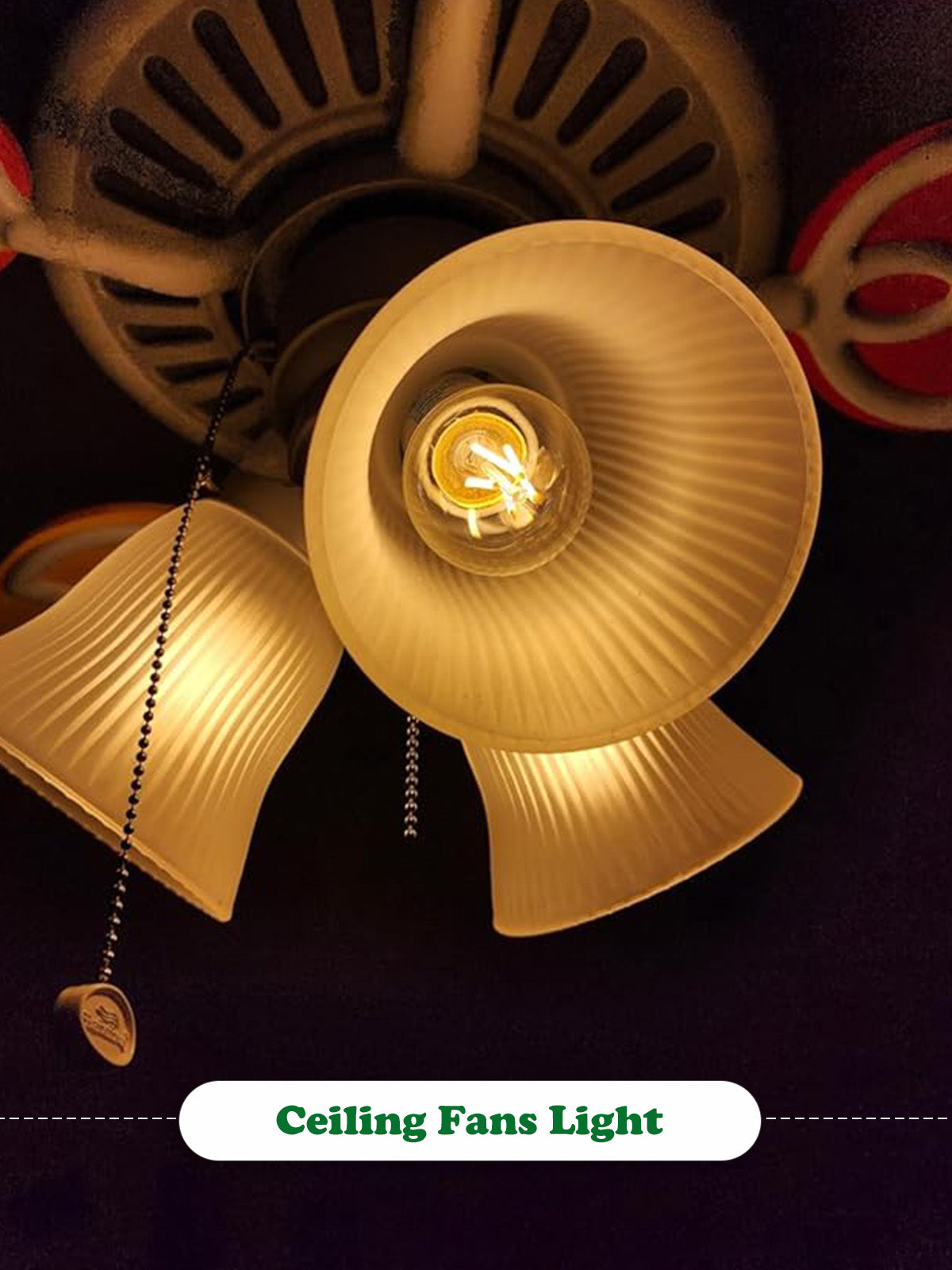 ROMANJOY 120V E26 Dimmable G16.5 4W LED Light Bulb, 10 Pack (2700K Warm)